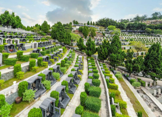 "风水禁地"：古代官方如何管理墓葬用地