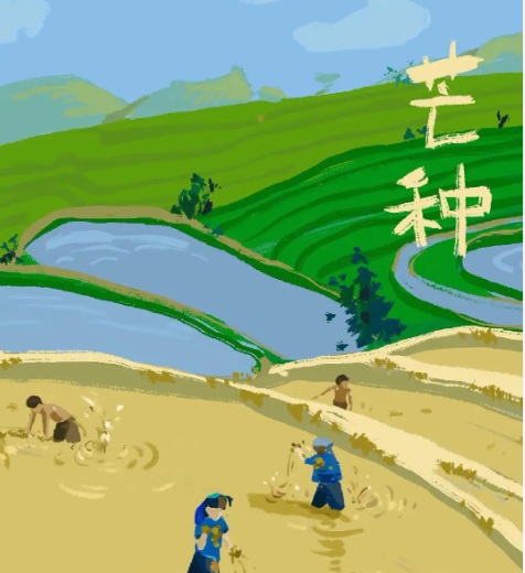 芒种与稼穑：农事择日的古代智慧